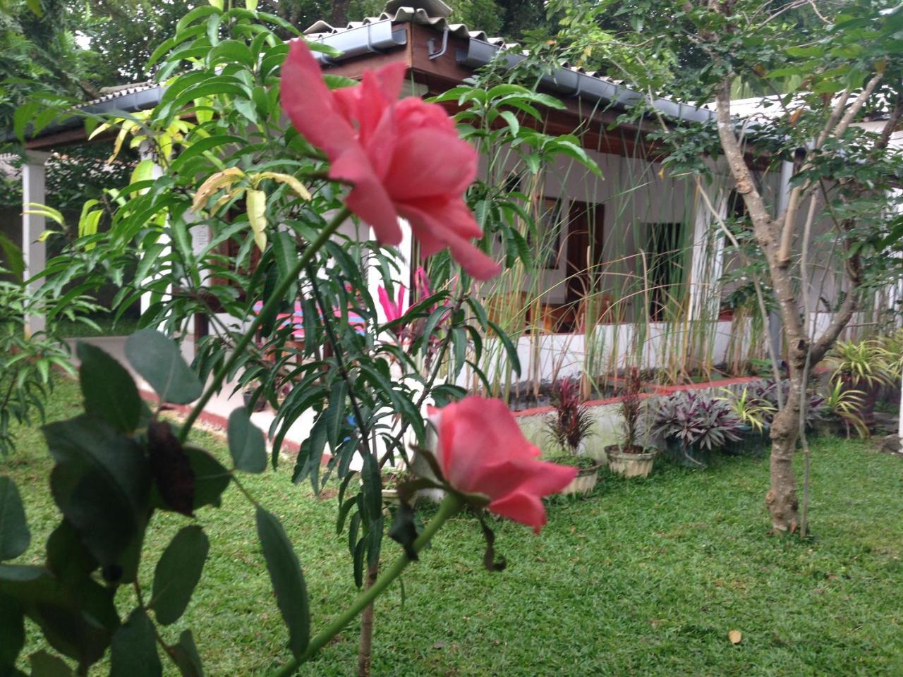 Disna Homestay Habarana Exterior photo