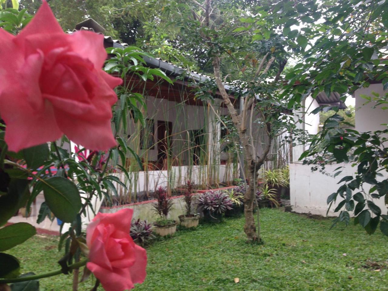 Disna Homestay Habarana Exterior photo