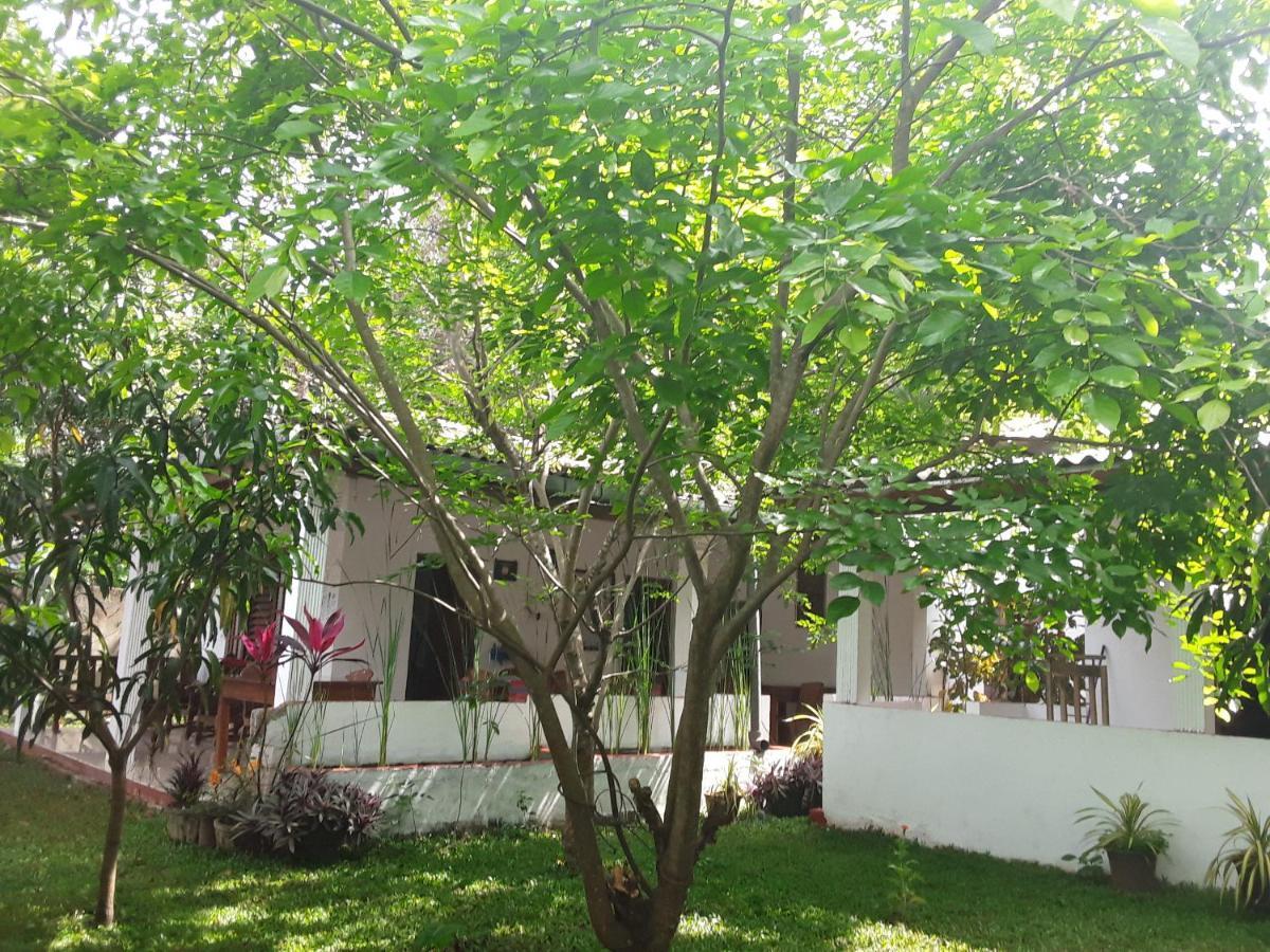 Disna Homestay Habarana Exterior photo